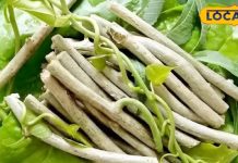 इस एक औषधि का करें इस्तेमाल, सर्दी-जुकाम जैसी हर बीमारी रहेगी दूर; गिनते रह जाएंगे फायदे