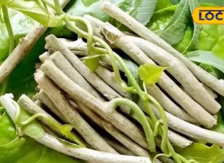 इस एक औषधि का करें इस्तेमाल, सर्दी-जुकाम जैसी हर बीमारी रहेगी दूर; गिनते रह जाएंगे फायदे