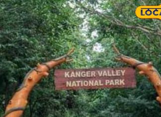 छत्तीसगढ़ का कांगेर घाटी नेशनल पार्क, जहां बसा है तितलियों का अद्भुत संसार, 252 प्रजातियां हैं यहां मौजूद