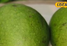 рдЧрд░реНрдорд┐рдпреЛрдВ рдореЗрдВ рд▓реВ рд╕реЗ рдмрдЪрдиреЗ рдХреЗ рд▓рд┐рдП рдмрдирд╛рдПрдВ рд╕реНрд╡рд╛рджрд┐рд╖реНрдЯ рдкреЗрдп. тАУ Bharat.one рд╣рд┐рдВрджреА