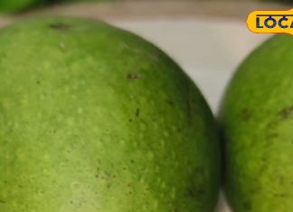 गर्मियों में लू से बचने के लिए बनाएं स्वादिष्ट पेय. – Bharat.one हिंदी