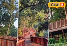 मुंबई में मलाबार हिल पर पहली एलिवेटेड नेचर ट्रेल शुरू हुई. – Bharat.one हिंदी