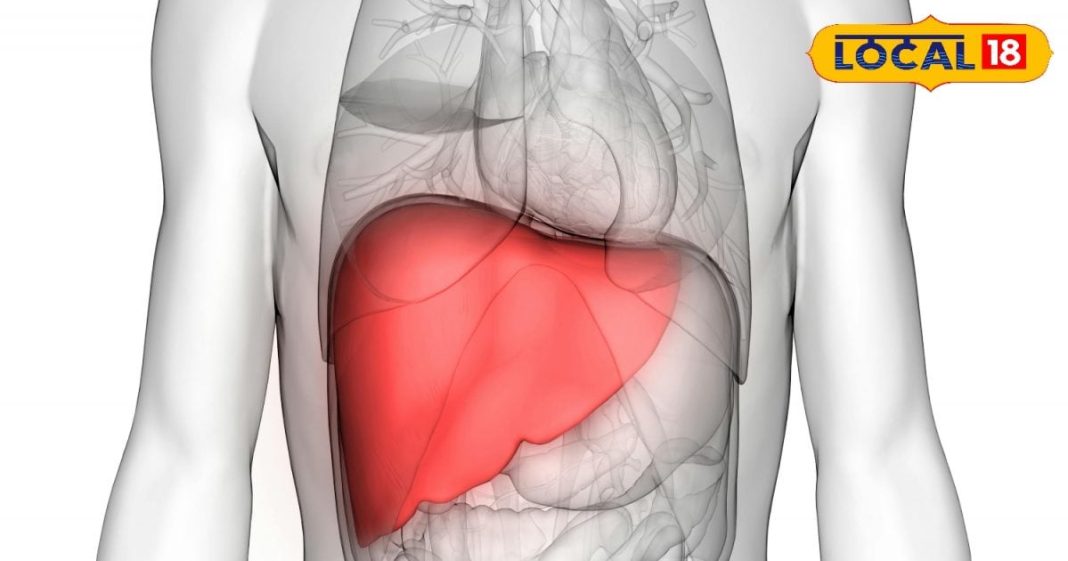 कोडरमा में नि:शुल्क फैटी लीवर जांच की सुविधा, जानें डॉ. अदनान इमाम से.