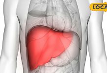 कोडरमा में नि:शुल्क फैटी लीवर जांच की सुविधा, जानें डॉ. अदनान इमाम से.