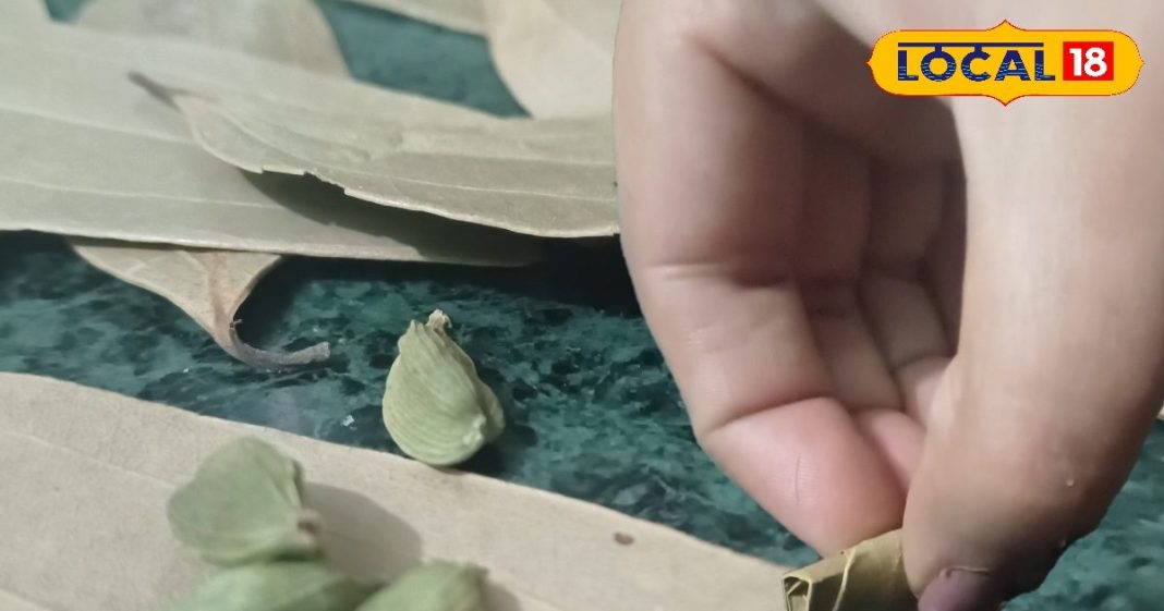 खांसते-खांसते हो गए हैं परेशान, तो अपनाएं ये घरेलू नुस्खा, तेजी से मिलेगा आराम