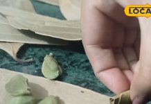 खांसते-खांसते हो गए हैं परेशान, तो अपनाएं ये घरेलू नुस्खा, तेजी से मिलेगा आराम