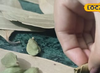 खांसते-खांसते हो गए हैं परेशान, तो अपनाएं ये घरेलू नुस्खा, तेजी से मिलेगा आराम