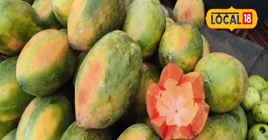 Papaya ke fayde: आंख, स्क्रीन और बालों की समस्या से मिलेगा छुटकारा, कई बीमारियों की है दवा, ये लोग रहें दूर