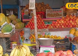 गर्मी के मौसम में अपनी डाइट में शामिल करें ये सुपरफूड! इम्यूनिटी-पाचन तंत्र होगा मजबूत, रहेंगे एकदम फिट