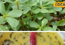 गर्मी का बेहतरीन साग, बो दो तो 15 दिन में तैयार, आधा किलो में 25 लोगों का भरेगा पेट, फायदे अनेक