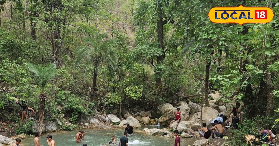 ऋषिकेश का यहां मिलेगा प्रकृति की छांव में छिपा खजाना, बिना रोक-टोक लूट सकता है हर कोई