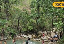 ऋषिकेश का यहां मिलेगा प्रकृति की छांव में छिपा खजाना, बिना रोक-टोक लूट सकता है हर कोई