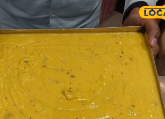 Summer Food: गर्मियों में राहत देगा श्रीखंड और आम्रखंड, शरीर को मिलेगी ठंडक और फुर्ती, एनर्जी का सुपरपैक