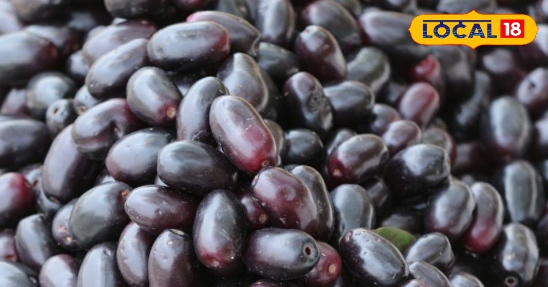 गर्मियों में ये फल सुपर फूड, डायबिटीज में रामबाण, सारे फायदे उड़ा देंगे होश