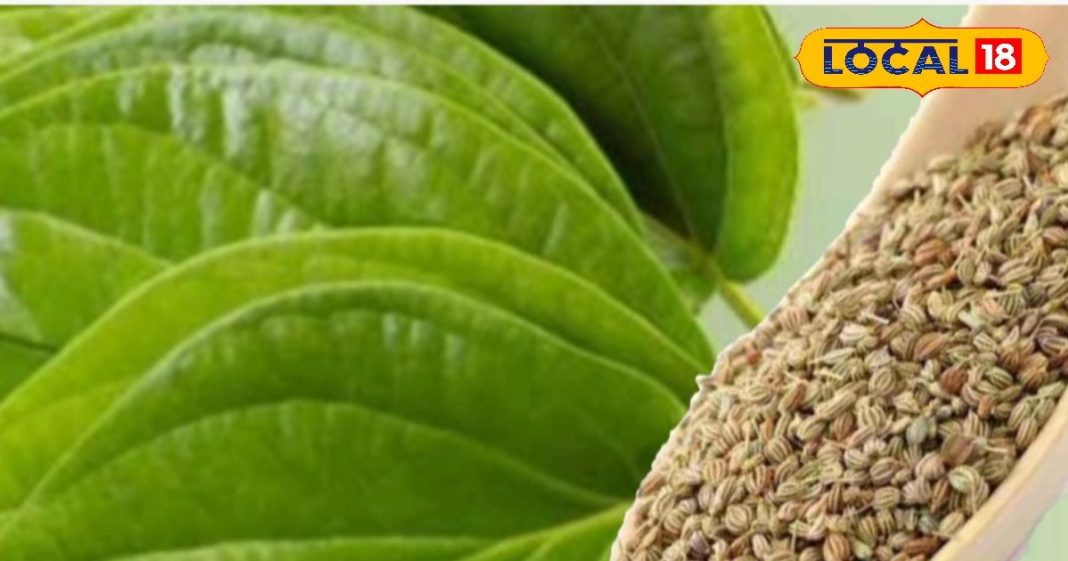 Home Remedies for Acidity: गैस, एसिडिटी और अपच से राहत के लिए पान-अजवाइन का उपयोग: डॉक्टर मंडल