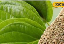 Home Remedies for Acidity: गैस, एसिडिटी और अपच से राहत के लिए पान-अजवाइन का उपयोग: डॉक्टर मंडल