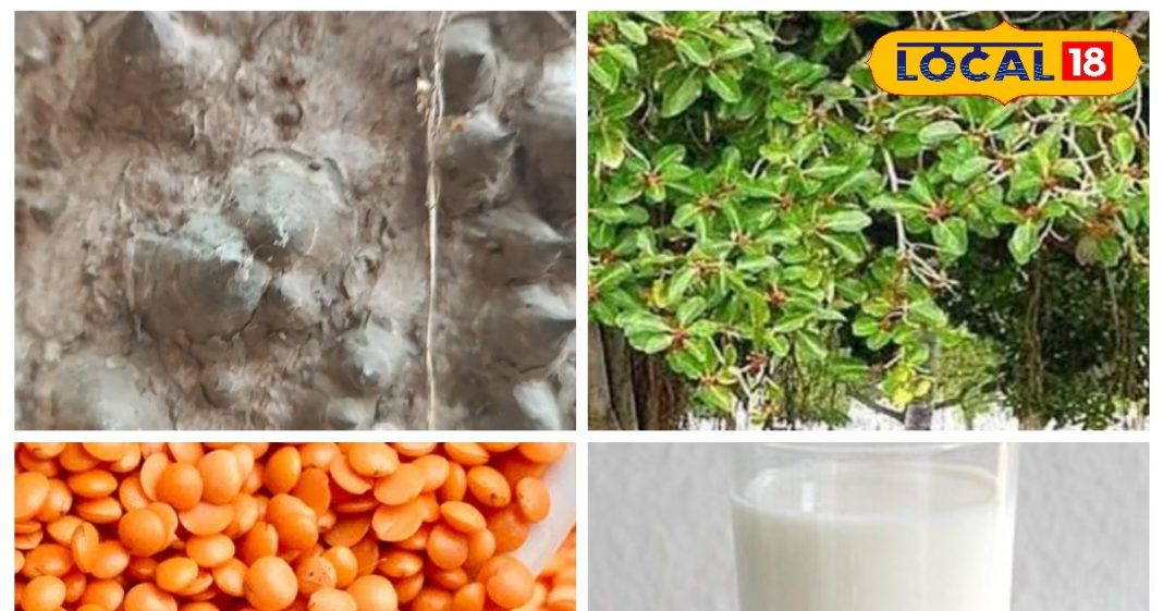 न क्रीम है न ये कोई दवा, बस ये खाने की दाल ऐसे लगा लीजिए, कील- मुंहासे समझो खत्म!