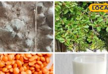 न क्रीम है न ये कोई दवा, बस ये खाने की दाल ऐसे लगा लीजिए, कील- मुंहासे समझो खत्म!