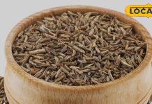 विटामिन B12 का बेस्ट सोर्स है किचन का ये साधारण मसाला… मछली, अंडे को देता है मात