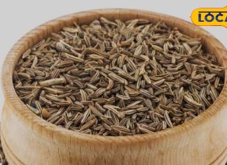 विटामिन B12 का बेस्ट सोर्स है किचन का ये साधारण मसाला… मछली, अंडे को देता है मात