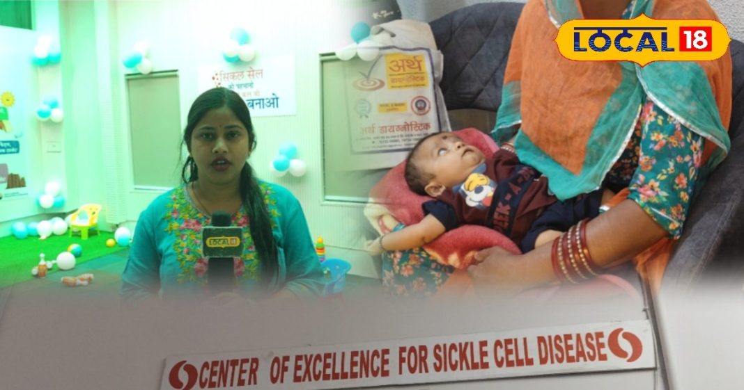 अब समय पर हो सकेगा इलाज, उदयपुर में शुरू हुआ देश का दूसरा सिकल सेल एनीमिया ट्रीटमेंट सेंटर