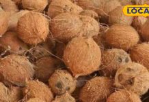 चोट, सूजन, बवासीर या रक्त-विकार, इस सुपरफुड का छिलका करेगा इलाज!