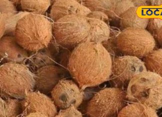 चोट, सूजन, बवासीर या रक्त-विकार, इस सुपरफुड का छिलका करेगा इलाज!