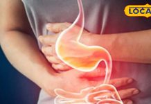 पेट में जकड़ी गैस को पतंग की तरह उड़ा देगा यह चूर्ण, घर पर बनाकर चुटकियों से कर लें सेवन, तुरंत मिलेगा आराम