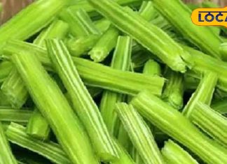 सहजन में ‘जहर’..इन लोगों के लिए ये सब्जी साक्षात काल! सेहत के लिए ‘अमृत’ मानकर भूल से भी न खाएं