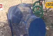 Waste to Wonder Park: लखीमपुर खीरी में ‘वेस्ट टू वंडर’ पार्क, कबाड़ से बनी सुंदर कलाकृतियां