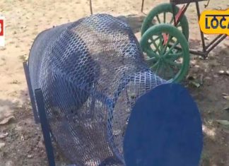 Waste to Wonder Park: लखीमपुर खीरी में ‘वेस्ट टू वंडर’ पार्क, कबाड़ से बनी सुंदर कलाकृतियां