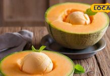 खरबूजा और आइसक्रीम दोनों का मजा मिलेगा साथ, ट्राय करें ये ट्रिक, स्वाद बेहतरीन