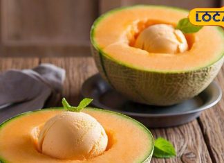 खरबूजा और आइसक्रीम दोनों का मजा मिलेगा साथ, ट्राय करें ये ट्रिक, स्वाद बेहतरीन