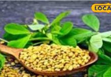 इन 5 लोगों को भूलकर भी नहीं करना चाहिए मेथी दानों का सेवन, सेहत को हो सकता है नुकसान