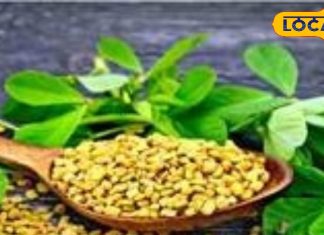 इन 5 लोगों को भूलकर भी नहीं करना चाहिए मेथी दानों का सेवन, सेहत को हो सकता है नुकसान
