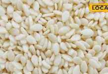 छोटे से दिखने वाले ये सफेद बीज हैं एनर्जी का पावरहाउस! इनडाइजेशन और एंग्जाइटी की पल में करते हैं छुट्टी!