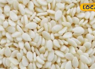 छोटे से दिखने वाले ये सफेद बीज हैं एनर्जी का पावरहाउस! इनडाइजेशन और एंग्जाइटी की पल में करते हैं छुट्टी!