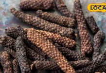 माइग्रेन का काल है यह मसाला! गुणकारी इतना कि डॉक्टर्स भी हैं हैरान, 12 रोगों का जड़ से करता है समाधान