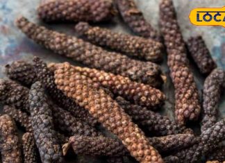 माइग्रेन का काल है यह मसाला! गुणकारी इतना कि डॉक्टर्स भी हैं हैरान, 12 रोगों का जड़ से करता है समाधान