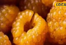 पहाड़ का अमृत… इम्युनिटी बढ़ाने वाला कुदरती फल, अगर खाया तो नहीं होगी कोई बीमारी