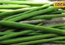 इस पेड़ में फूल पत्तियां नहीं, लगती हैं दवाएं, गुणों की खान, कई रोगों में रामबाण