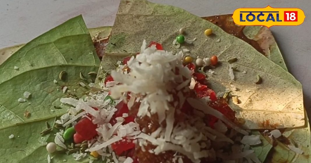 क्या आपको पता है पान में क्यों मिलाया जाता है चुना, कत्था और कसैली? एक्सपर्ट से जान लें इसके फायदे