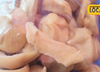 दरभंगा के लोग ले रहे हैं टेस्टी मशरूम अदौरी का स्वाद, घर पर करें ऐसे तैयार, 2 साल तक रखें आराम से!