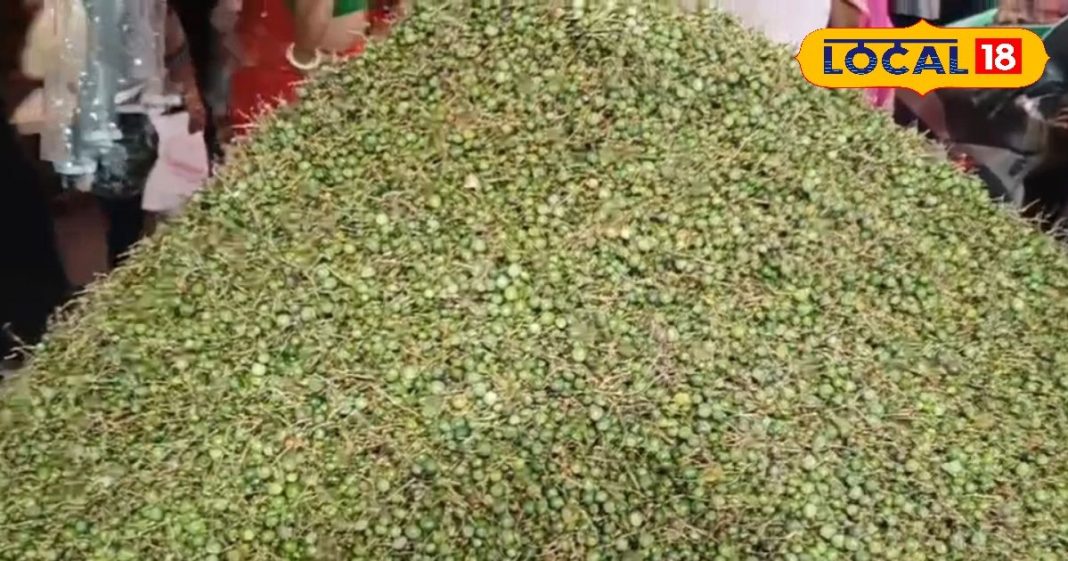 राजस्थान का सूखा मेवा! लोग रुक-रुक कर खरीदते हैं ये सब्जी, सेहत के लिए रामबाण, चौंका देगी कीमत