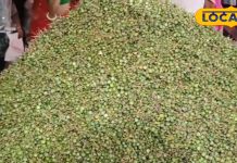 राजस्थान का सूखा मेवा! लोग रुक-रुक कर खरीदते हैं ये सब्जी, सेहत के लिए रामबाण, चौंका देगी कीमत