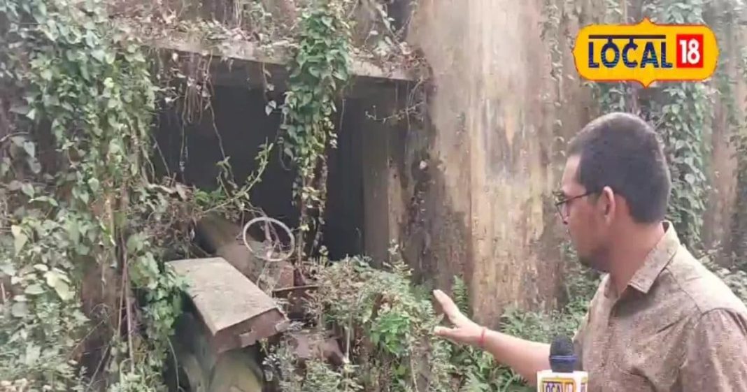 महराजगंज का वसूली फॉर्म: पुराने कृषि यंत्रों का अनोखा संग्रह.