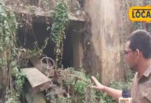 महराजगंज का वसूली फॉर्म: पुराने कृषि यंत्रों का अनोखा संग्रह.