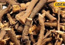 टूटी हड्डियों को जोड़ने और घाव को भरने के लिए सबसे कारगर है औषधि, घर पर इस तरह करें उपयोग