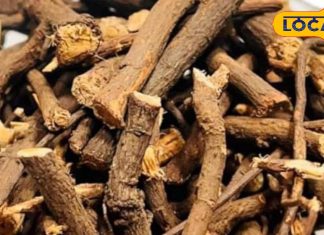 टूटी हड्डियों को जोड़ने और घाव को भरने के लिए सबसे कारगर है औषधि, घर पर इस तरह करें उपयोग