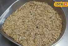 गर्मियों में गेहूं के साथ खाएं ये सुपरफ़ूड… यूरिक एसिड, डायबिटीज होगा छूमंतर! हड्डियों और हृदय के लिए अमृत